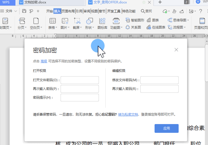 如何使用WPS给文档设置密码
