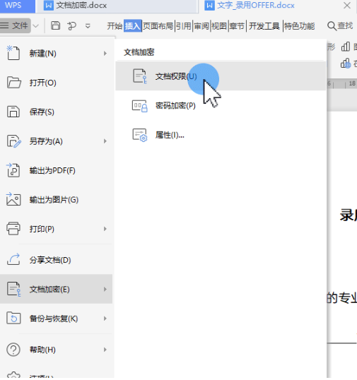 如何使用WPS给文档设置密码